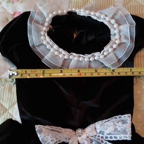 NWT Black Velvet Pet Dress - Picture 5 of 5